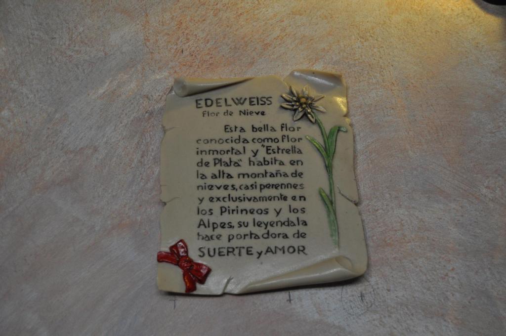 אל פונט דה סוארט Hotel Flor De Neu מראה חיצוני תמונה